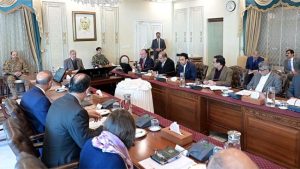 PM Shehbaz Urges Simplified Credit Access for SMEs, Farmers