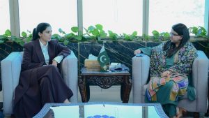 Digital Pakistan Vision Targets Inclusive, Innovation-Led Economy: IT Minister
