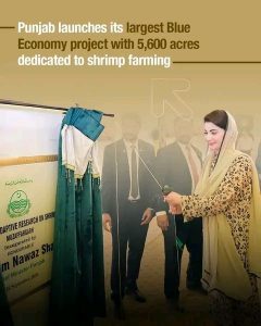 CM Maryam Nawaz Launches Shrimp Farming to Boost Punjab’s Exports