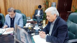 Wheat Policy to Shield Farmers from Price Volatility: Rana Tanveer