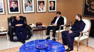 President Zardari discusses inter-provincial affairs with Sindh, Balochistan CMs