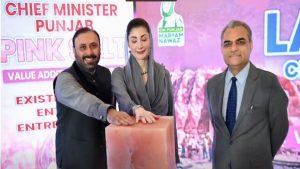 110-Acre Pink Salt Processing Zone Announced as Punjab Pushes ‘Made in Pakistan’ Brand