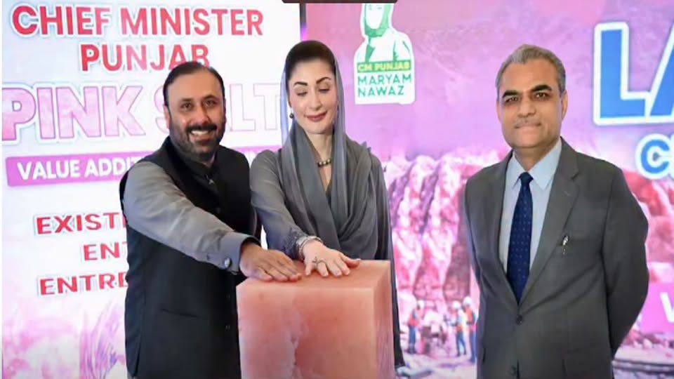 May be an image of dais and text that says 'CHIEF MINISTER PINKOLI LT PUNJAR PINK VALUE ADDI MARYAM NAWAZ MARAM CM CHPUNJAS EXIST EN ENTRE L c'