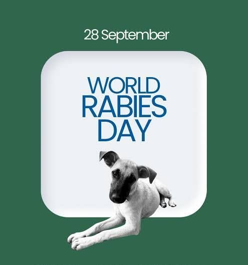 May be an image of slow loris and text