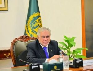 Dar orders procurement of remaining 185,000 tonnes of Sindh wheat